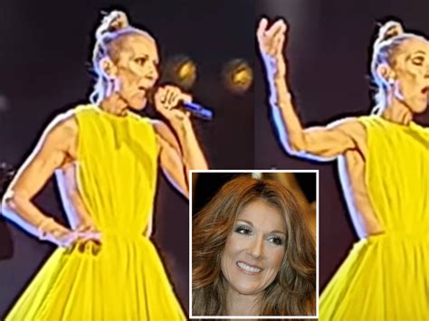 celine duon 2019|Celine Dion last performance.